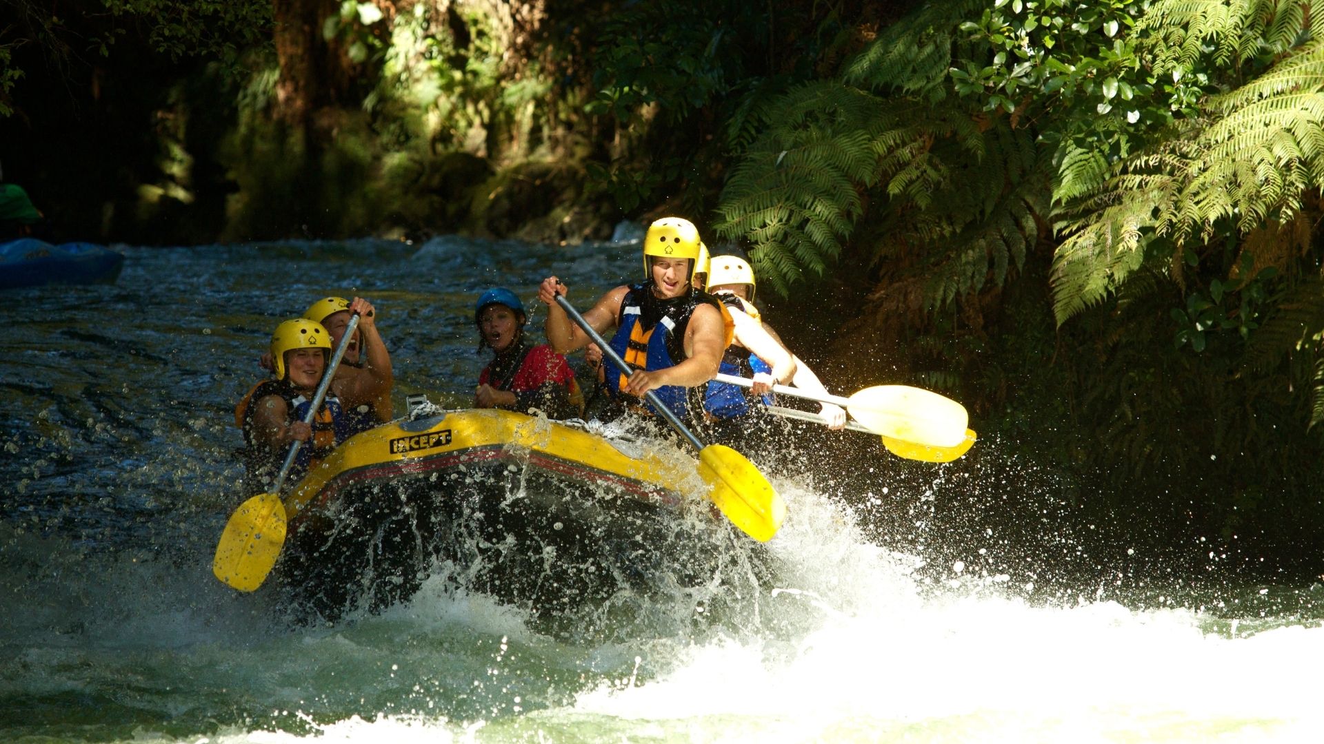 River Rats Rafting Rotorua Rotorua Rafting | Rotorua NZ